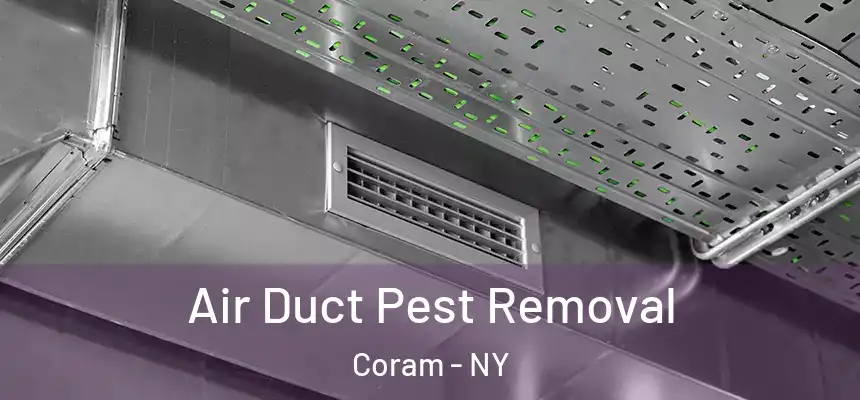  Air Duct Pest Removal Coram - NY