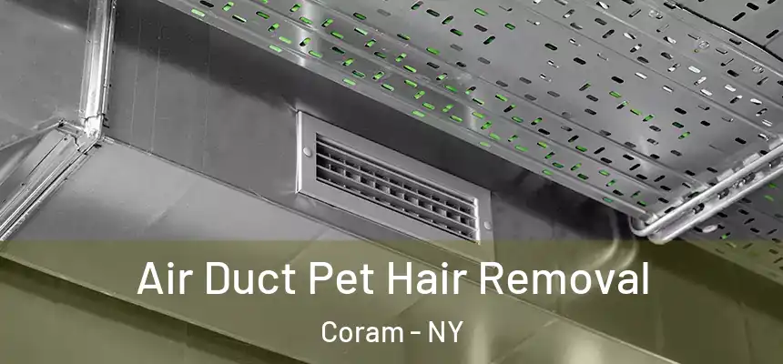  Air Duct Pet Hair Removal Coram - NY
