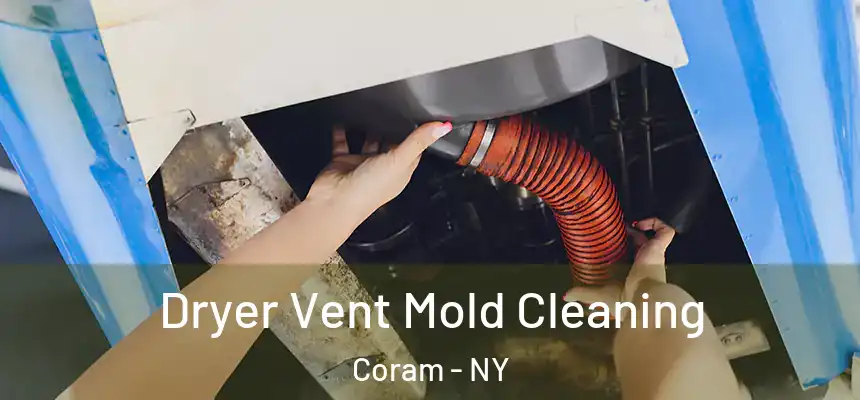  Dryer Vent Mold Cleaning Coram - NY