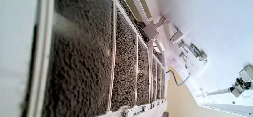 Preventive Air Duct Bacteria Removal in Coram