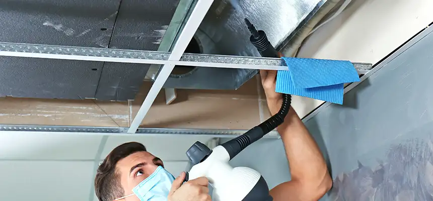 Our Air Duct Rodent Removal Services in Coram, NY
