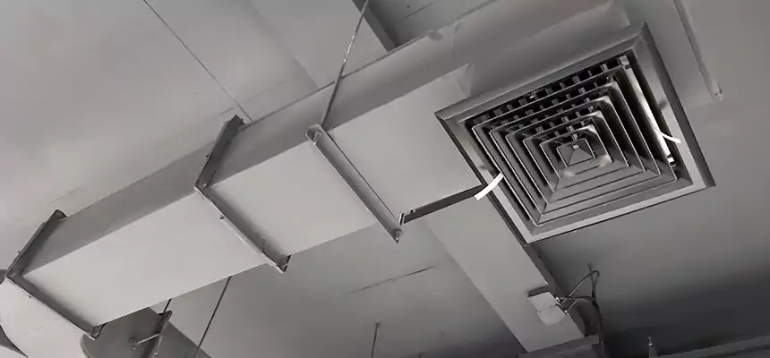 Restorative Allergy Relief Vent Cleaning – Coil, Blower & Housing Detail in Coram