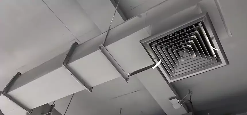 Our Pest Removal From Ducts Services in Coram, NY