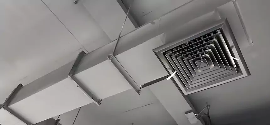 Our Rodent Droppings In Vents Services in Coram, NY