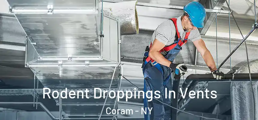  Rodent Droppings In Vents Coram - NY
