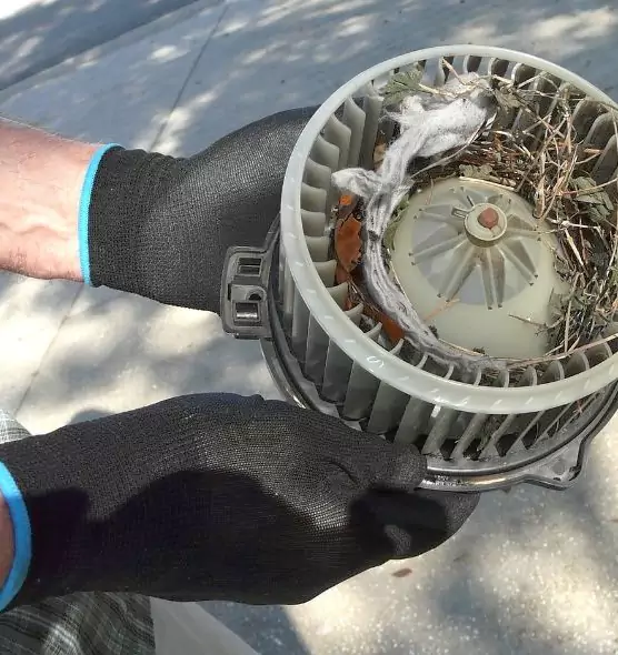 About Air Duct Mice Removal in Coram, NY