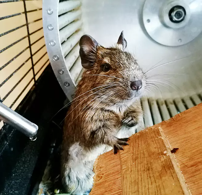 Why Homeowners & Businesses Trust Us Coram, NY?