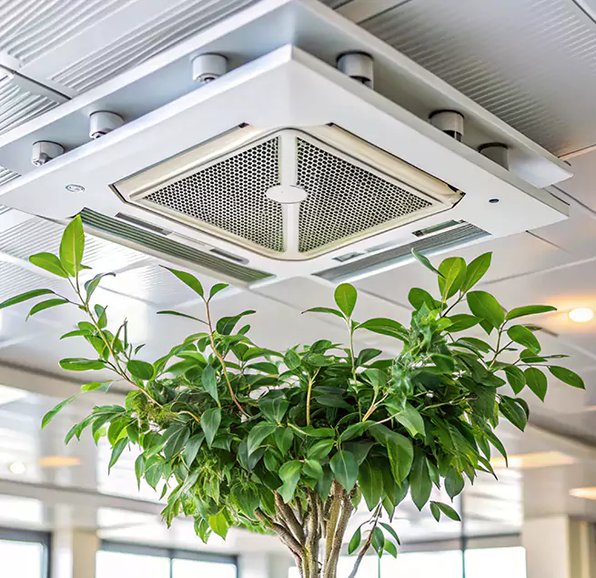 Why Homeowners & Businesses Trust Us in Coram, NY